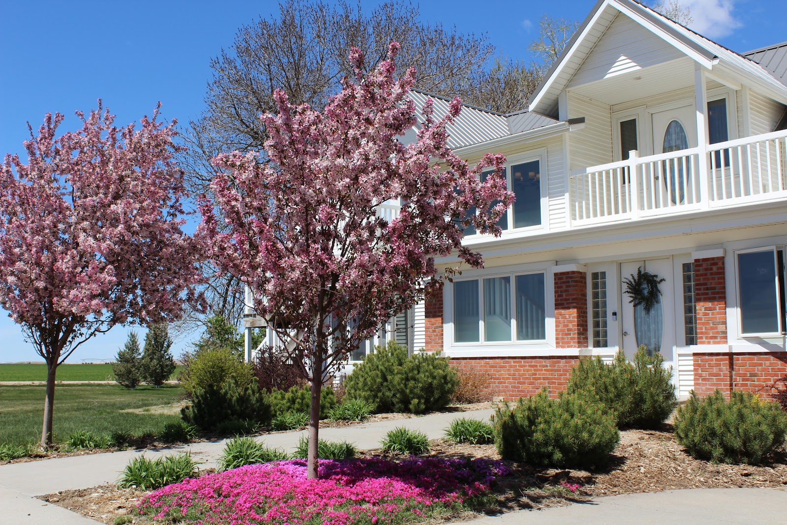 Burchell's White Hill Farmhouse Inn