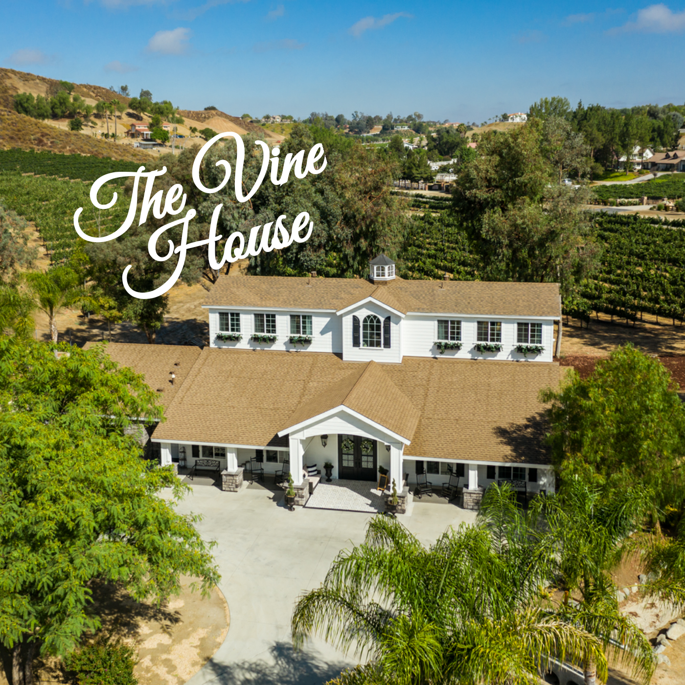 The Vine House Bed & Breakfast